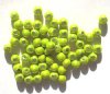 60 4mm Round Lime Miracle Beads